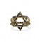 Jewish Star Ring With Double Band Connection