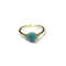 Adjustable Ring with Turquoise Center Stone With CZ Stones Itsallagift