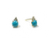 Earrings With Turquoise Stone and CZ Stones Itsallagift