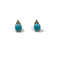 Earrings With Turquoise Stone and CZ Stones Itsallagift