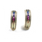 Channel Set Rainbow CZ With White CZ Border Hoop Earrings Itsallagift